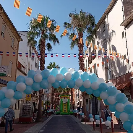 Centre Du Boulou Pour 2 Adultes-2 Enfants- Check In 18h 20h Check Out 11h Max Juillet-aout 1 Semaine Minimum Apartamento Le Boulou