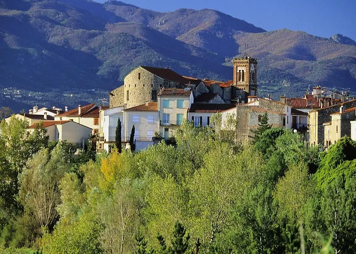 Centre Du Boulou Pour 2 Adultes-2 Enfants- Check In 18h 20h Check Out 11h Max Juillet-aout 1 Semaine Minimum Appartement